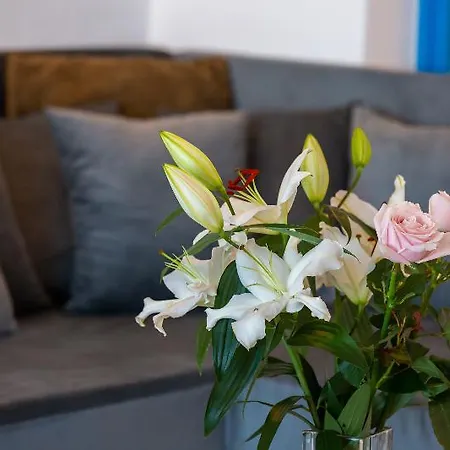 Desiterra & Hotel 5*