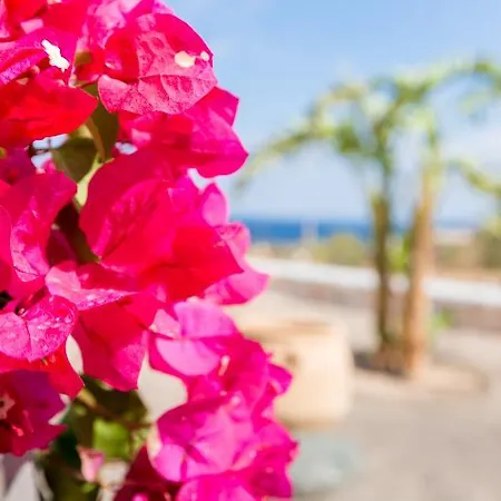 Desiterra & 5* Karterados (Santorini)