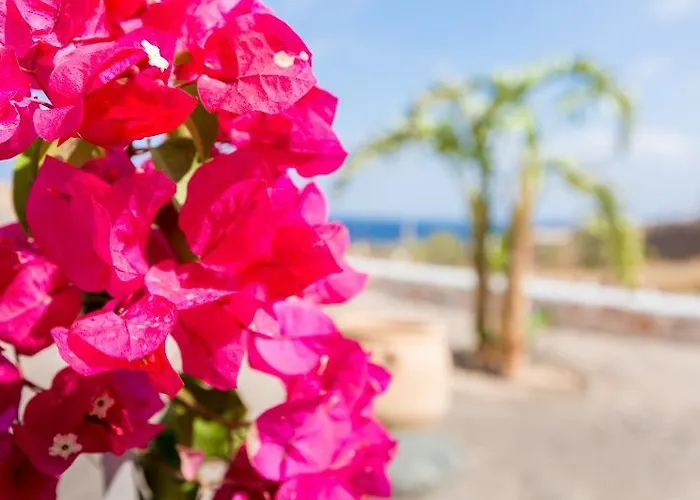 Desiterra & 5* Karterados (Santorini)